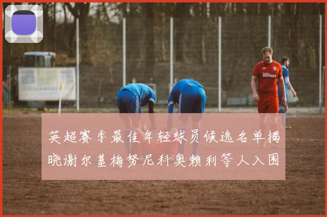 英超赛季最佳年轻球员候选名单揭晓谢尔基梅努尼科奥赖利等人入围
